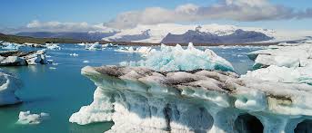 Simple Things You Can Do to Help Save Mother Earth  
zcu.io/OLjA