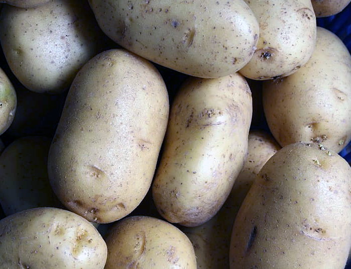 Hydroponic Potatoes. For real.
zcu.io/VasP
thanks @High Tech Gardening !
#growyourown #indoorfarmer #hydroponics #potatoes #groweliteled