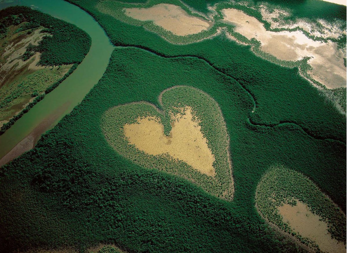 Villa Albertine (@villa_albertine) on Twitter photo Happy #EarthDay 🌎 ! We’ve put together a list of some environmentally-themed 🌱 books, podcasts, & other cultural content for you to dive into to celebrate! 🍃 Whether you’re an #activist or countryside lover, there's something for everyone: bit.ly/3dxMIaW
📸: <a href="/Yann_A_B/">Yann Arthus-Bertrand</a> Happy #EarthDay 🌎 ! We’ve put together a list of some environmentally-themed 🌱 books, podcasts, & other cultural content for you to dive into to celebrate! 🍃 Whether you’re an #activist or countryside lover, there's something for everyone: bit.ly/3dxMIaW
📸: <a href="/Yann_A_B/">Yann Arthus-Bertrand</a>
