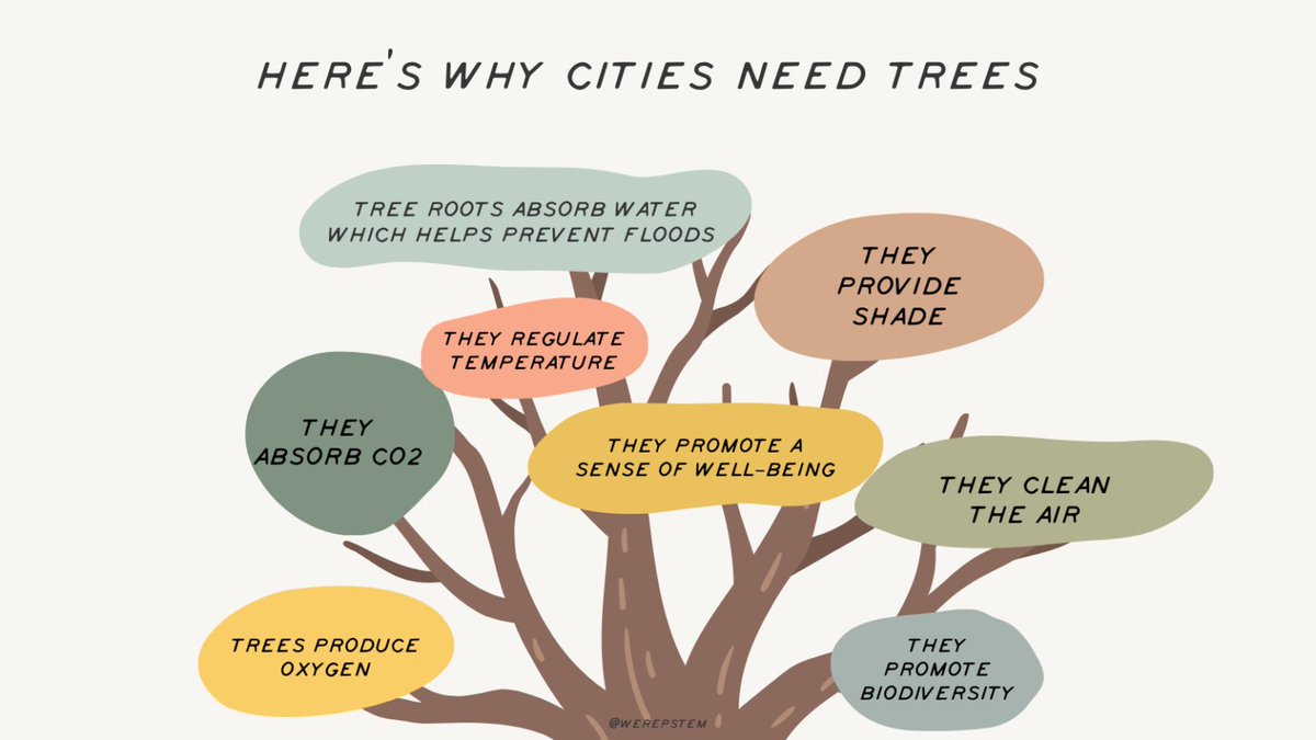 The paper cites several studies demonstrating how systemic racism negatively impacts the environment, including evidence there are fewer trees in racially-minoritized neighbourhoods in major U.S. and Canadian cities.