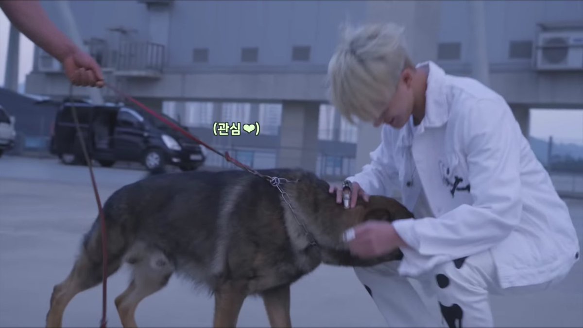 jeno with the dog from boom mv