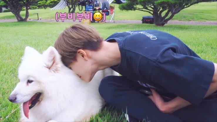 of course, jeno with a samoyed