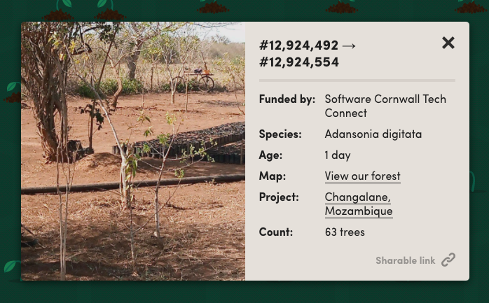 That Seagull Bob tweet media