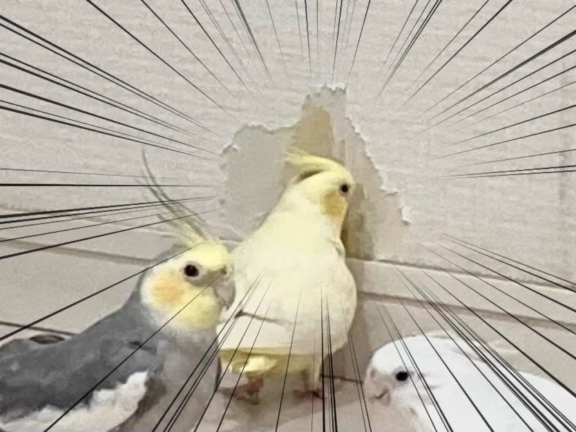 「うんうん皆で集って楽しそうに遊んでい・・・」やらかしている最中だったようです。