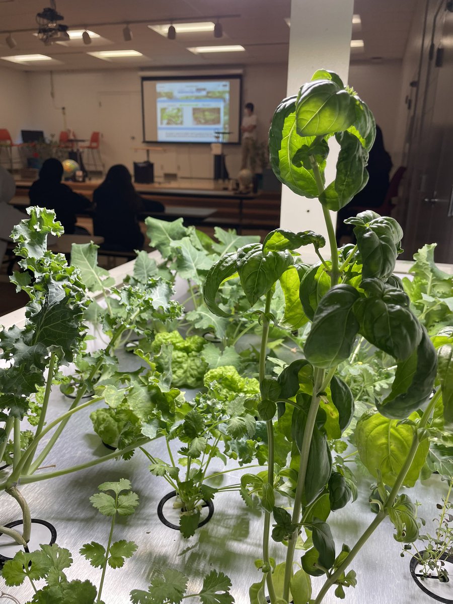 The Innovation Campus tweet media