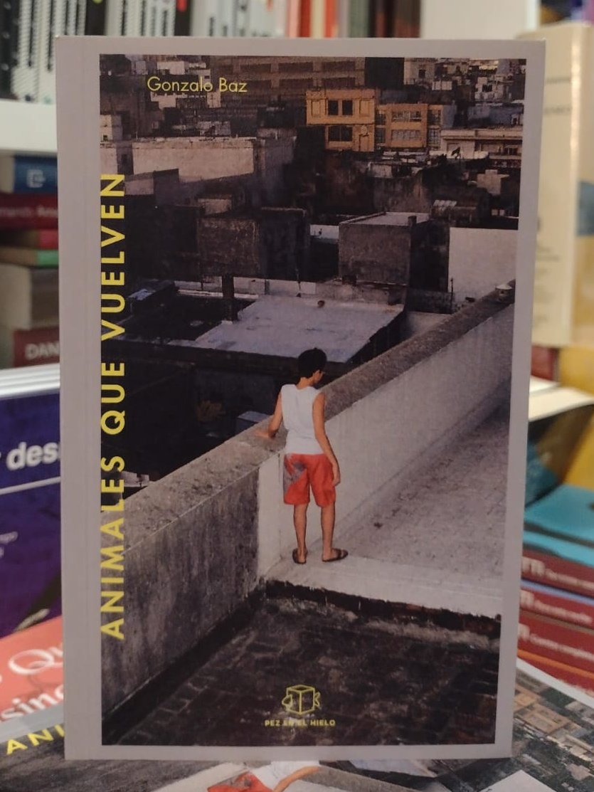 Librosdelparque's tweet photo. Los personajes de Baz se quedan a dar vueltas dentro del lector cuando el libro ya está cerrado. A veces oyen samba, fuman sin ganas, o escuchan venir algo desde muy lejos que retumba en la noche. 
Animales que vuelven 
Gonzalo Baz
Leer más ➡️ https://t.co/WPEVSllDbl https://t.co/QHcsXVTkAk