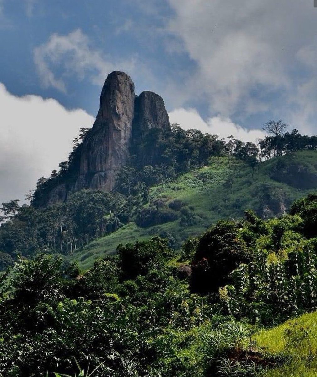 Black Jesus 🇨🇮🎤 tweet media