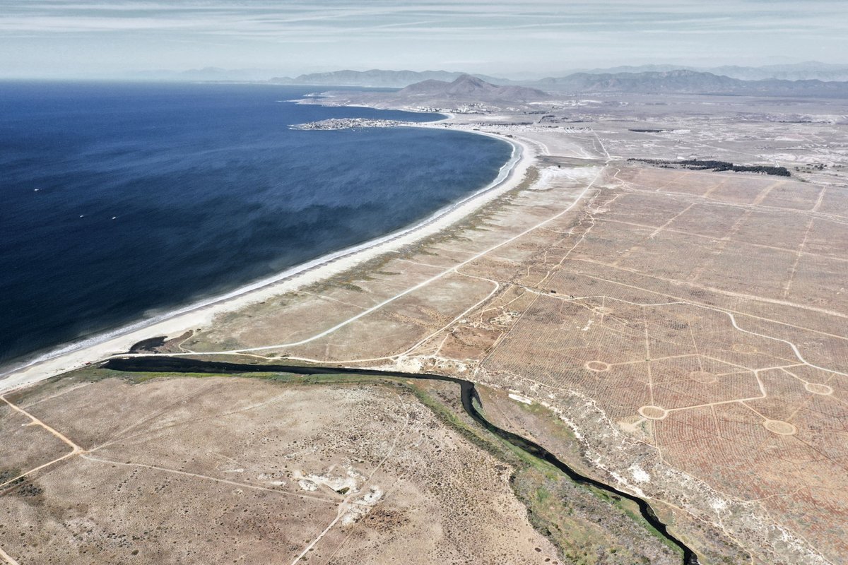 BuildingCentre's tweet photo. 🌎 Happy Earth Day 🌍 In celebration, here's Mesetas Changanal, Chile, where GUN Architects have worked to increase biodiversity + nurture the land back to health after years of drought.

Read the full article by @nessnorwood 👉 https://t.co/XZ7TXgSW5z

📷 @EstudioPalma https://t.co/b3XLKlUMC0
