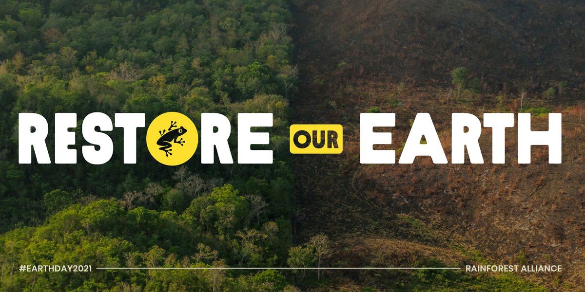 Today On Earthday And Every Day We Raise Our Hands Up To Celebrate The Forest Guardians Who Protect And Restoreourearth Pic Twitter Com Cpptaj0xsf Rnfrstalliance