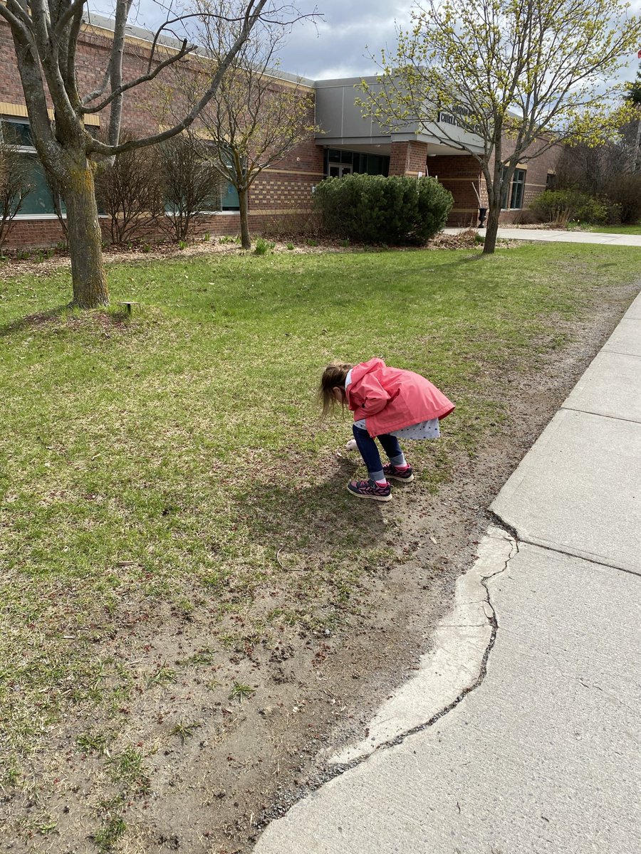 ArmitageKyla's tweet photo. On Tuesday after her class was over Addy asked if we could go pickup garbage to help clean up the earth for Earth Day 🌎 
Happy #EarthDay2021 
@mme_bourre @MissSeaman @AngelsOCSB @OttCatholicSB https://t.co/rvqiafDuVn