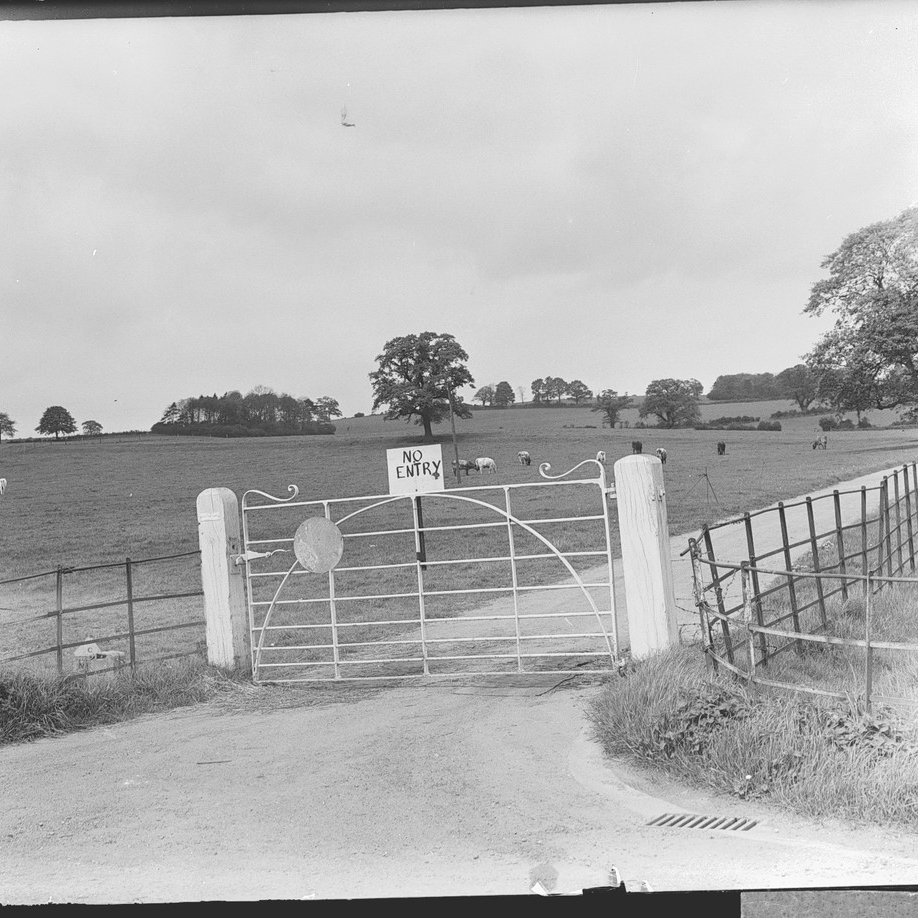 Also, Shrek honours the age-old tradition of making hand-made signs. One of these pictures is from our archive, and we will let you decide which one it is.(MERL P FS PH1/K46950)