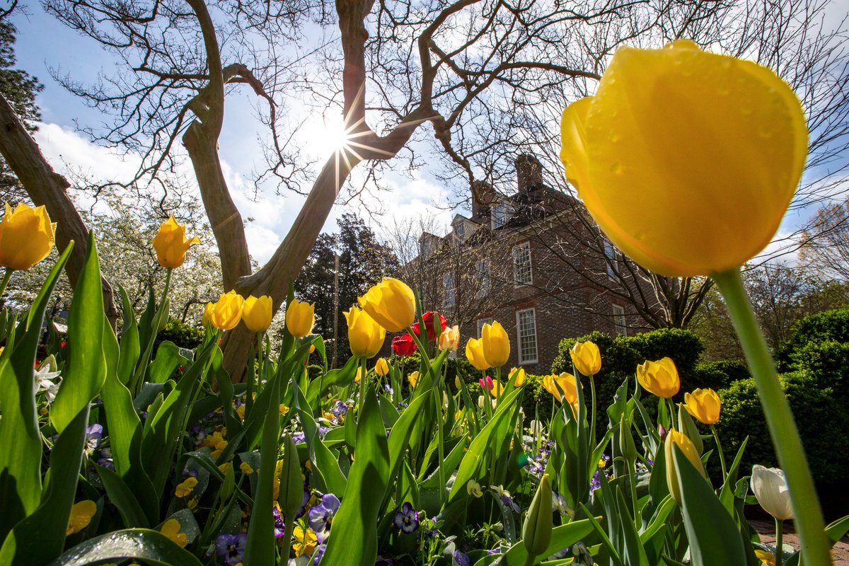 WMTribeFootball's tweet photo. βοΈπ»π #wmInSpring #GoTribe https://t.co/zh1iyWT5wu
