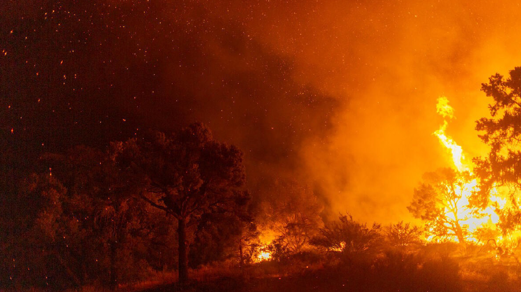 earthissaying's tweet photo. I am the earth reporting. Right now, I am suffering an average of 200 fires out of the 72,000 that I go through every year only in the U.S. @unep_espanol @UN I'm on fire. Help! Alert generated without human intervention. https://t.co/UNQHwwbK9Z