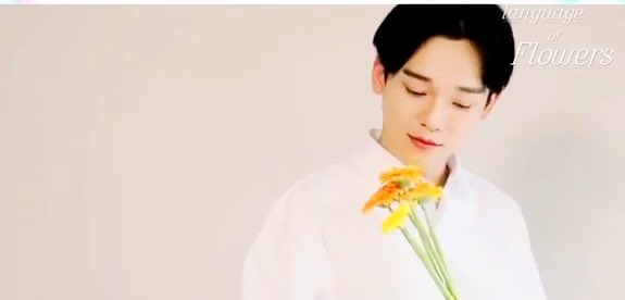 Tap the flowers if you want to see Jongdae being the cutest Flower Prince ♡                                                                               #첸  #CHEN