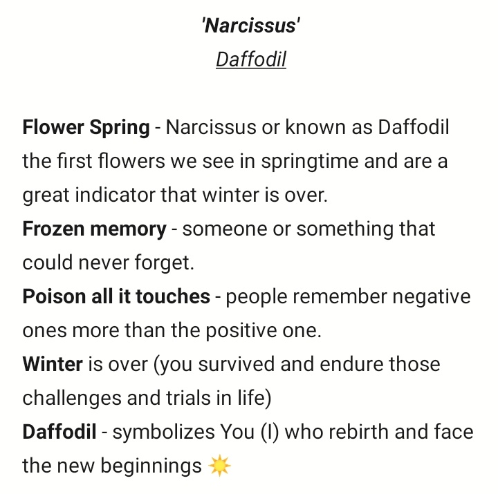 shillempr3sski's tweet photo. @BangWinKon '𝙉𝙖𝙧𝙘𝙞𝙨𝙨𝙪𝙨'
"A flower spring whispers frozen memory,
The wind blows poison all it touches,
Winter is over, the daffodil rise and shine through."
#HanbinRebirth
Everyone's rebirth ☀️ https://t.co/vSrMy823Q3