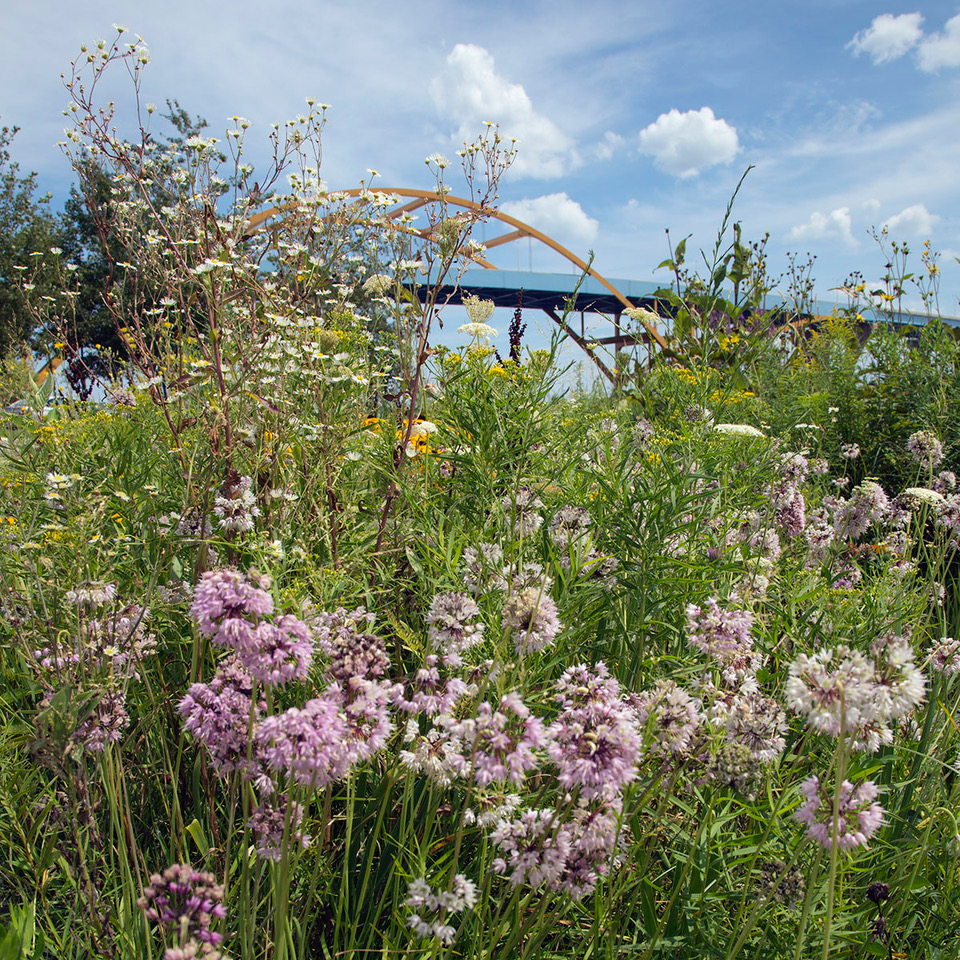 Happy Earth Day!

🌎 What will you do today and always to keep our Earth healthy? 🌍

PC: Eddee Daniel