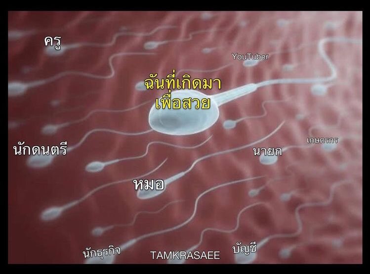 ทุกคนบนโลก และนี่คือฉัน