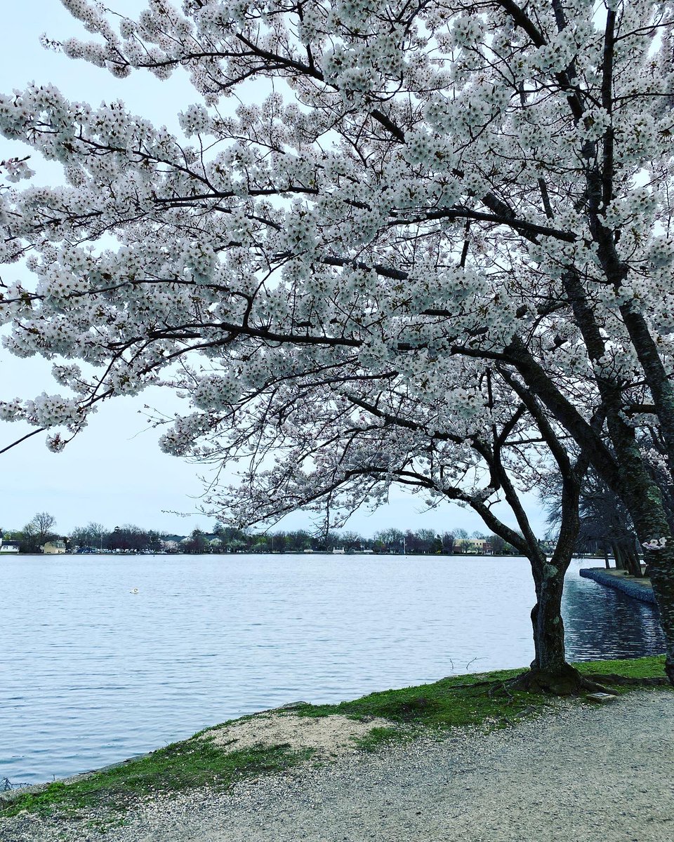 Argyle Lake #argyle #babylon #photography #spring #springtime