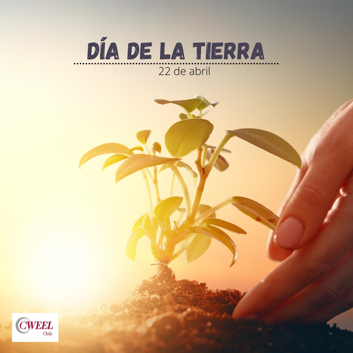 cweelchile's tweet photo. Hoy es el #DiaDeLaTierra

Y desde #CWEEL Chile, invitamos a todas las personas, hombres y mujeres, jóvenes y niños, a tomarse un momento para pensar... 

¿Qué he hecho para cuidar el planeta y qué haré por él ahora? https://t.co/xmNed5t7ez