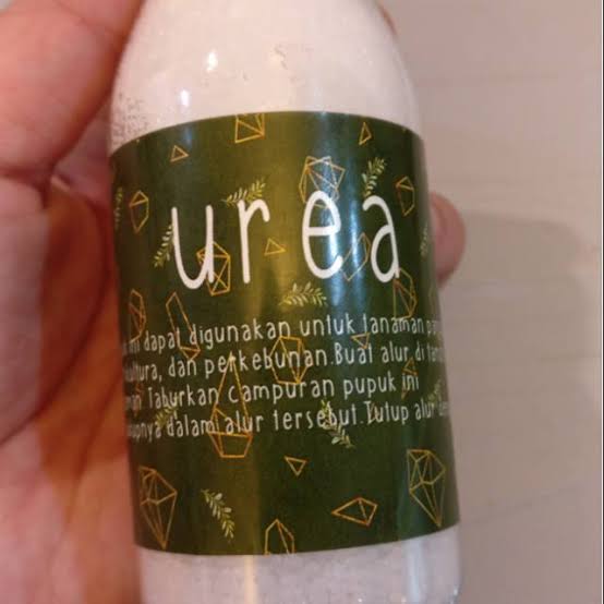 ㅤ ️️

ㅤ     ㅤ          Pi birthdayꕤ
ㅤ ️️

ㅤ ️️ Always be happy, be healthy❣️
Pi birthday juga buat semua chara Chaeyoung serta Son Chaeyoung rl

Micuu coo mattt sengaja kasih urea biar subur
t. <a href="/schaeyuong/">кєєѕуαα, м | slr</a>