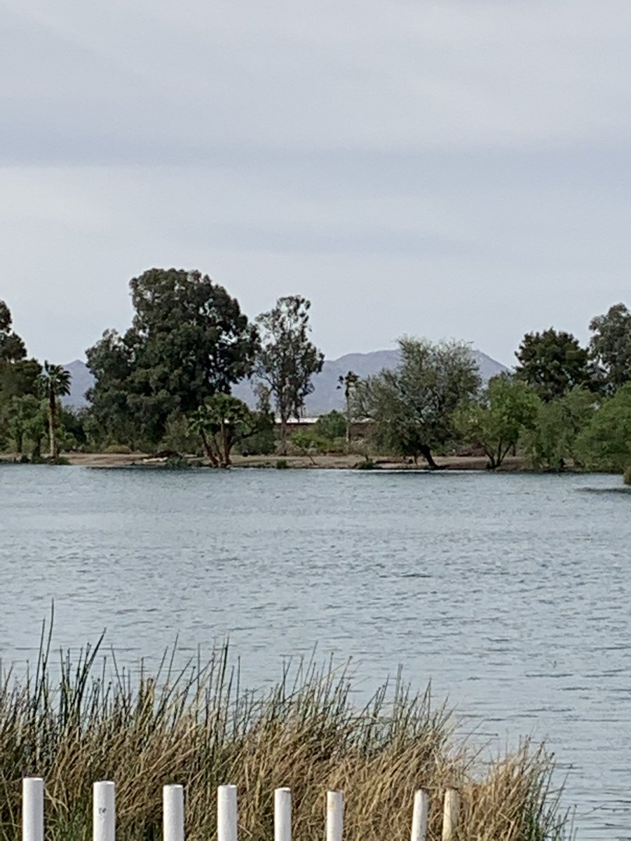 TPD Park Safety/HOT tweet media