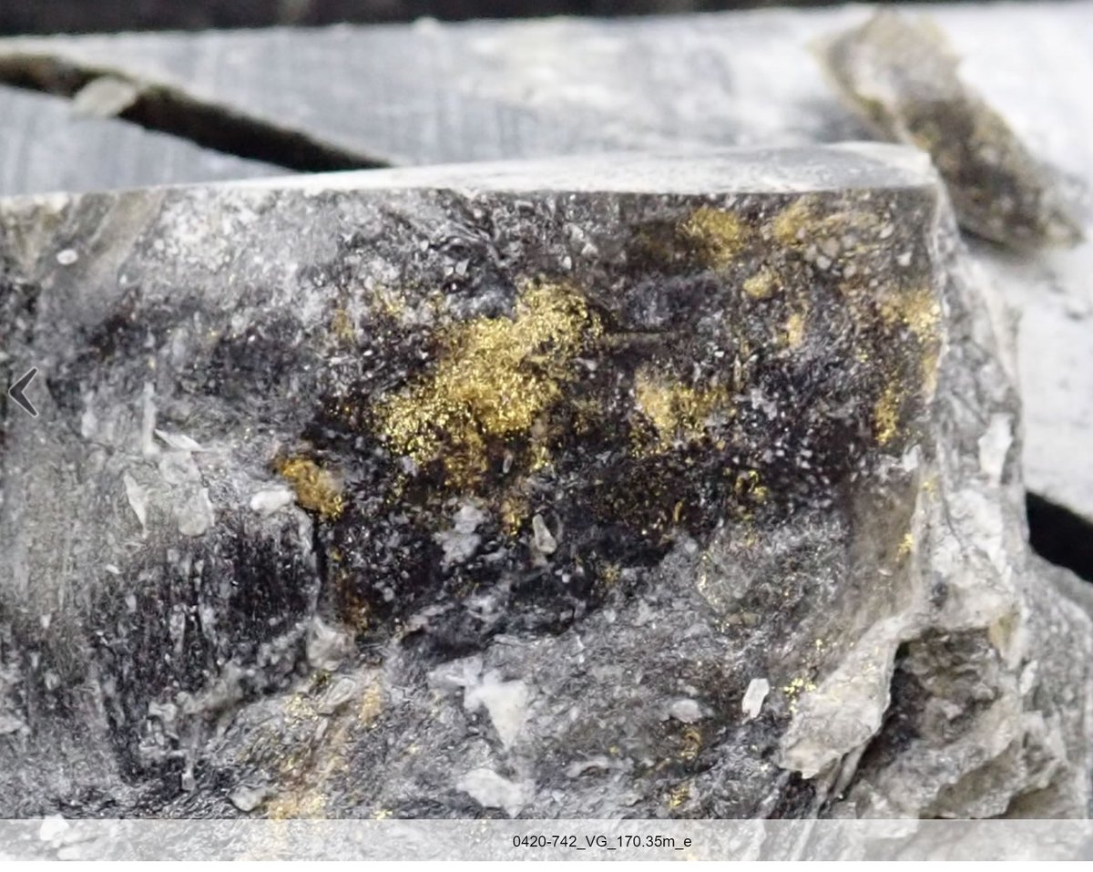 10) It remains unclear how extensive these shoots are with only limited assay data reported. But there are clues in the the RNS's which state visible gold has been reported including this beauty - which has yet to have been reported. But this offers real blue-sky upside.