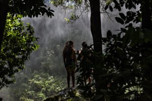 Norway MFA (@norwaymfa) on Twitter photo Tropical forests have received far less attention and finance than they deserve. Today the LEAF Coalition takes a first, crucial step to change that, says Norwegian prime minister <a href="/erna_solberg/">Erna Solberg</a>
leafcoalition.org
#EarthDay #LEAFcoalition
#LeadersClimateSummit Tropical forests have received far less attention and finance than they deserve. Today the LEAF Coalition takes a first, crucial step to change that, says Norwegian prime minister <a href="/erna_solberg/">Erna Solberg</a>
leafcoalition.org
#EarthDay #LEAFcoalition
#LeadersClimateSummit