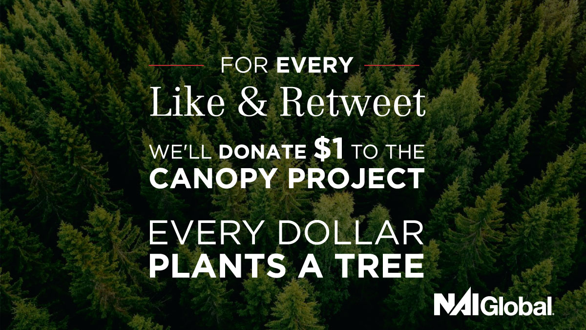 In celebration of Earth Day let's come together to restore our Earth! 

For every 'Like' and 'Retweet' on this post, @naiglobal will donate $1 to the @canpopyproject. 

EVERY DOLLAR PLANTS A TREE. 

Learn more, bit.ly/2Ri9zi3. 

#TheNAIDifference #EarthDay #SaveThePlanet