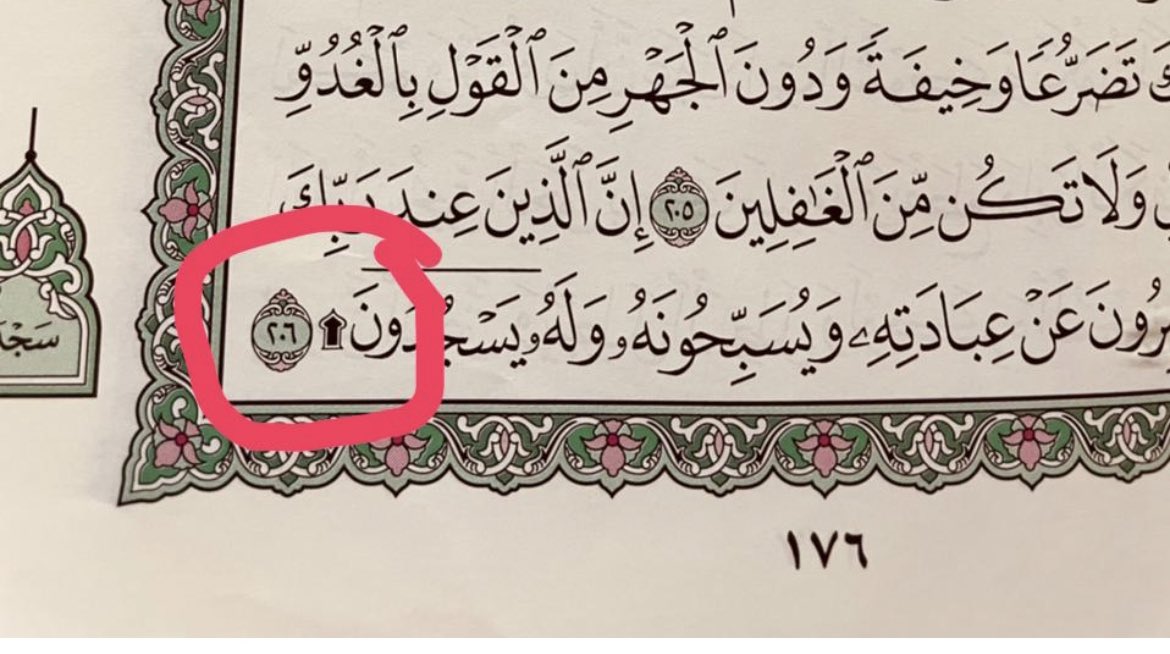🇸🇦 tweet media