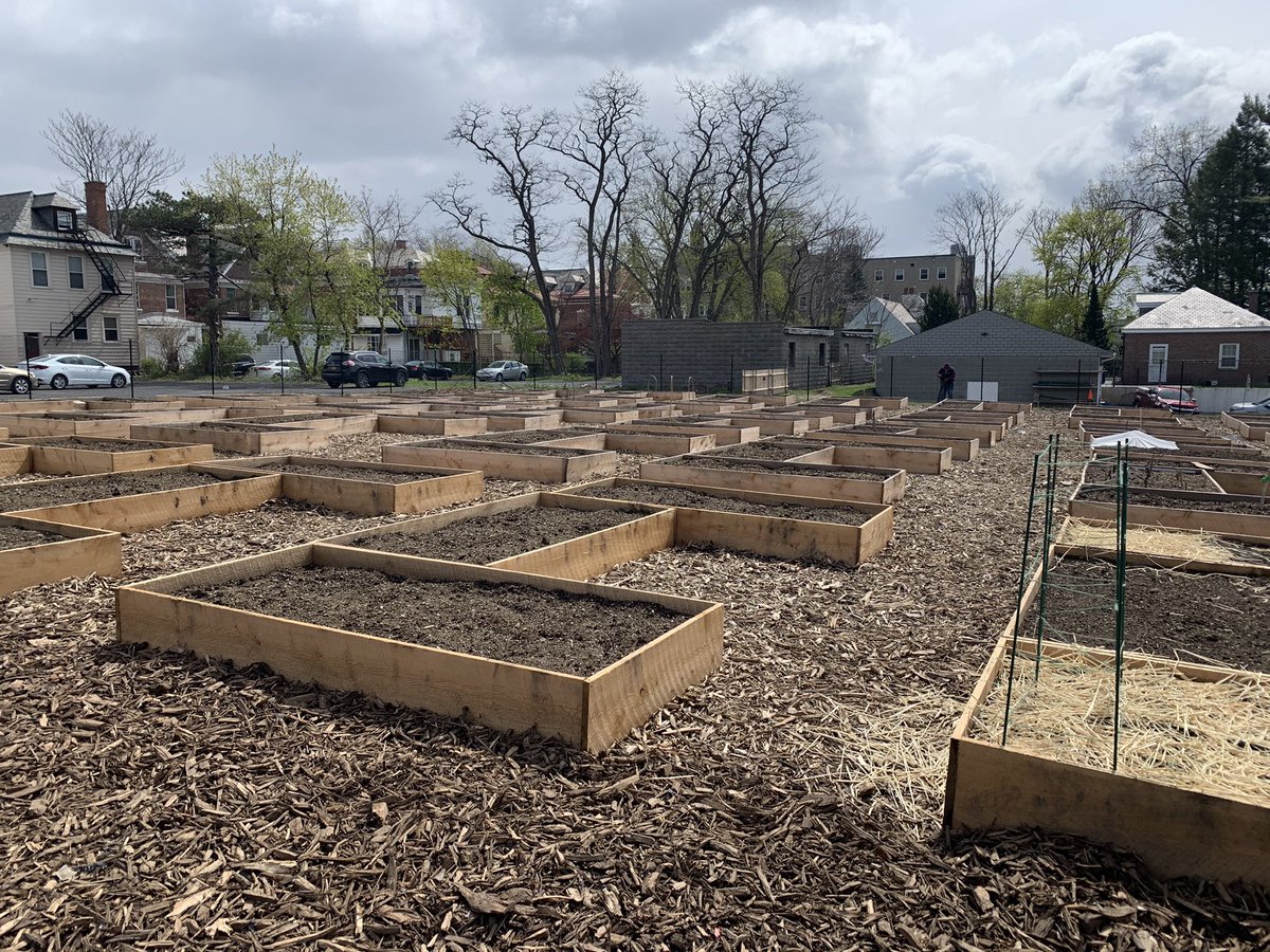 Willard_WAMC's tweet photo. Officials cut the ribbon on a new 1.3 acre Capital Roots community garden off Morris Street in Albany. All 120 raised beds are already claimed. @WAMCNews https://t.co/xI57cHbIWs