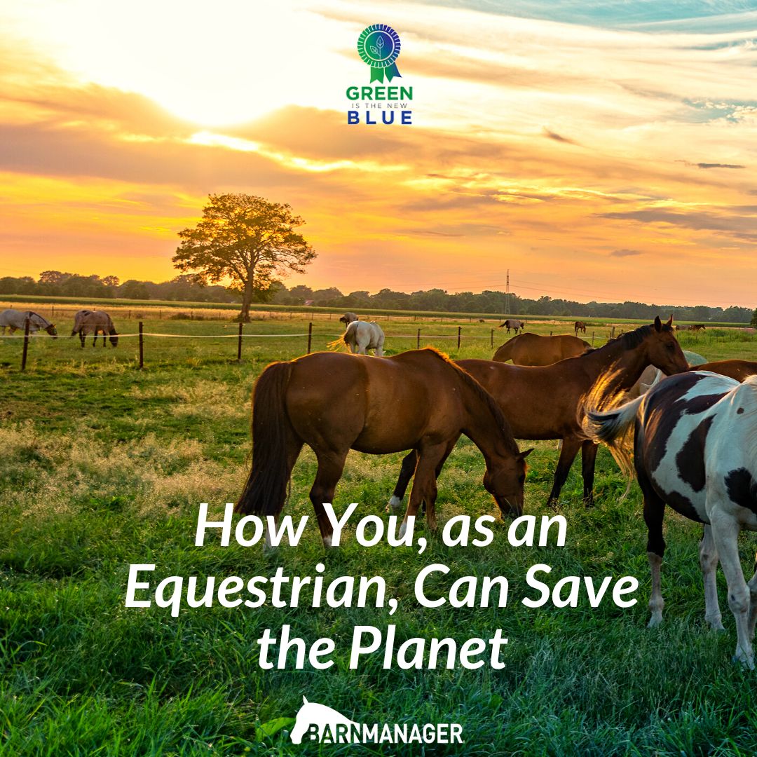 BarnManager1's tweet photo. Today marks the 51st annual Earth Day &amp; the teams at BarnManager and Green Is the New Blue are inviting you to make an impact through the Equestrian Earth Day Challenge. Read more ➡️ https://t.co/VFg8SbWH2e https://t.co/VECM8RP8Sh