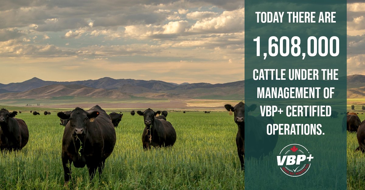 #EarthDay2021 Beef producers celebrate Earth Day every day of the year. VBP+ certified producers demonstrate their commitment to protecting Earth’s valuable resources through verified production practices. verifiedbeef.ca #VBPCanada #verifiedbeef #sustainablebeef