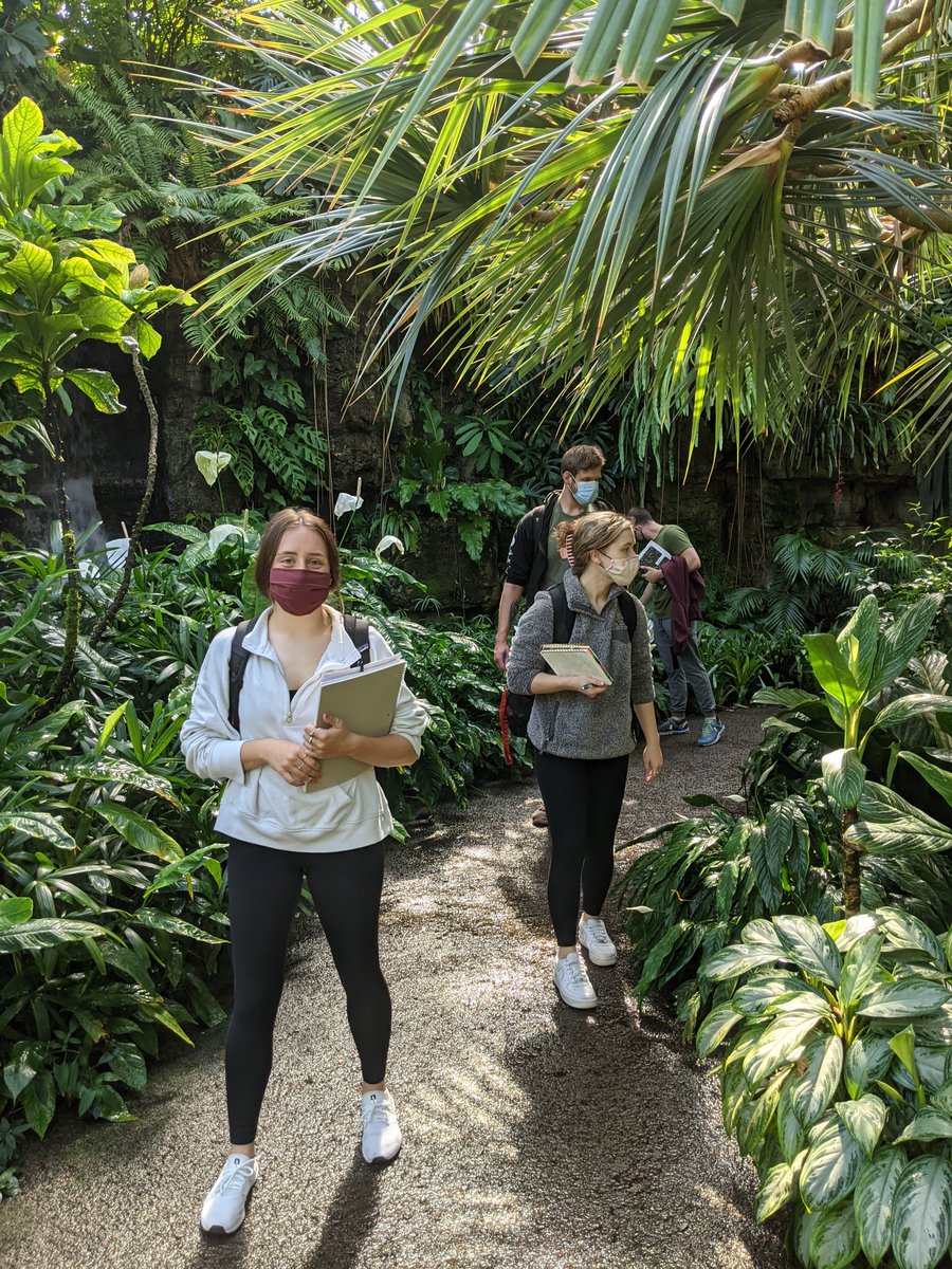 KyraKrakos's tweet photo. Lab practical day for @MaryvilleU Botany students @mobotgarden #ActiveLearningEcosystem #botany https://t.co/3j2AK1qali