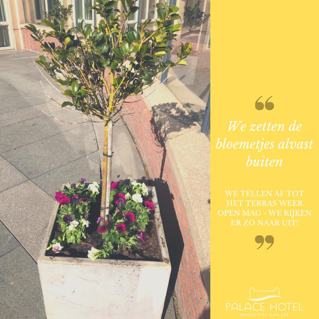Lente op ons terras ☀️ We zetten de bloemetjes vast buiten voor als we eindelijk weer gasten op het terras mogen ontvangen! We kijken hier al heel lang naar uit.... We tellen af!

TOT SNEL!!!! 🥂

#Noordwijk #Hotel #Terras #PalaceHotel #palacehotelnoordwijk