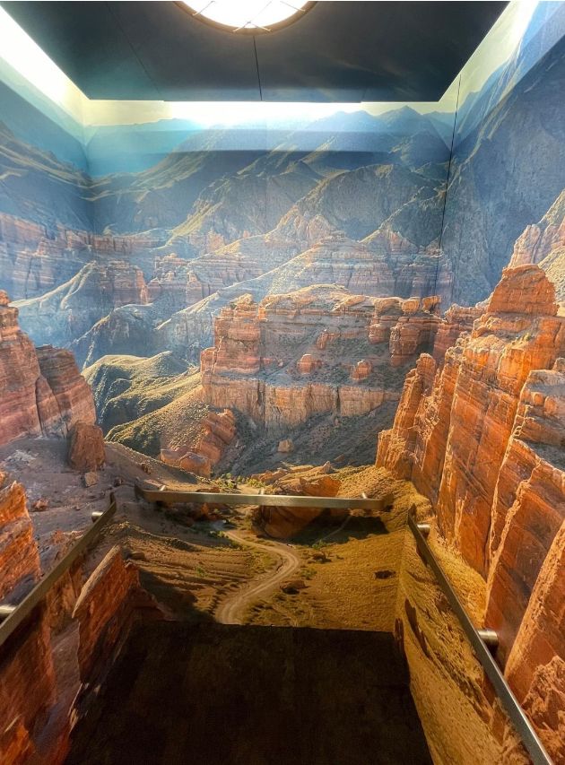 SpeedproSS's tweet image. On the 51st #EarthDay, we admire the grandeur &amp;amp; delight of our planet. From the smallest insects to the enormity of the Grand Canyon, we stand in awe. 

We can help you share your inspiration-even in an elevator!! How amazing to take a ride here!