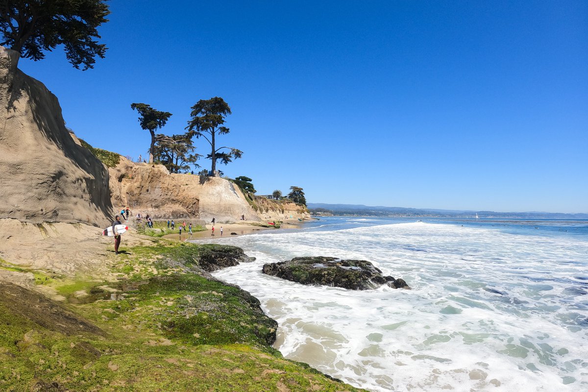 I am proud to work alongside people who also care about the ocean and the creatures in it. 
#Ocean #EarthDay2021  #RiffynCulture