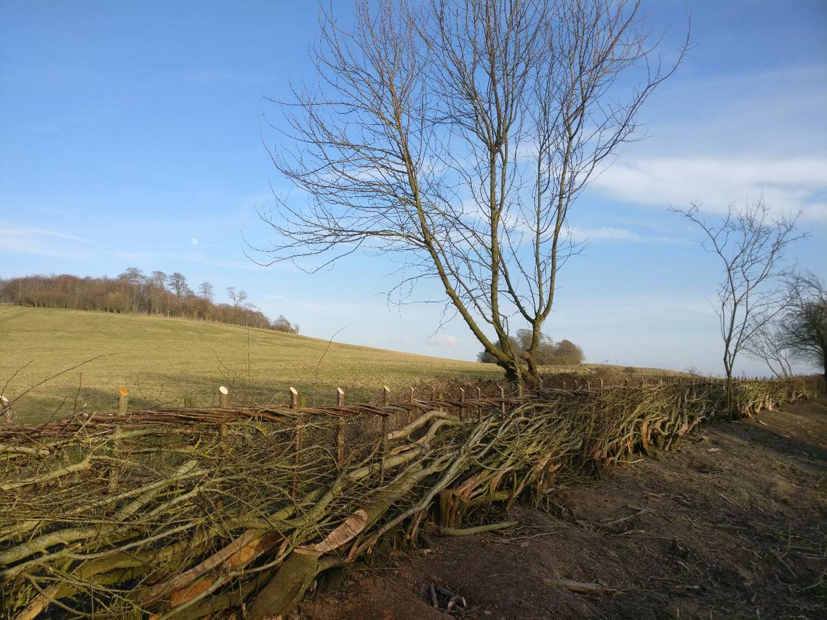 earth_trust's tweet photo. We're hiring! We are looking for a Head of Environmental Land Management to join us, and need practical knowledge, strategic insight and environmental vision.

Find out more https://t.co/vgybcLnWmf
Closing date 10th May
#opportunity #hiring https://t.co/tXGaP5HLvI