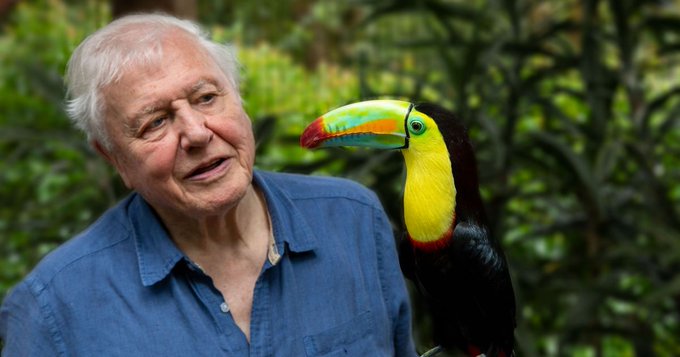 David Attenborough's new documentary Life in Color drops on Netflix EarthDay EarthDay2021