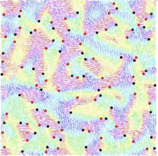 BppbSeminar's tweet photo. #BPPBSeminar Fri Apr 23 at 8 am PDT/11 am EDT/5 pm CDT
Transcription factor dynamics and nuclear organization... - Mustafa Mir @MustafaMir16 
Bacterial active nematics: how modeling can be really quantitative - Hugues Chaté
Details - https://t.co/M3vQcF7VI9 https://t.co/flNjrLyTRt