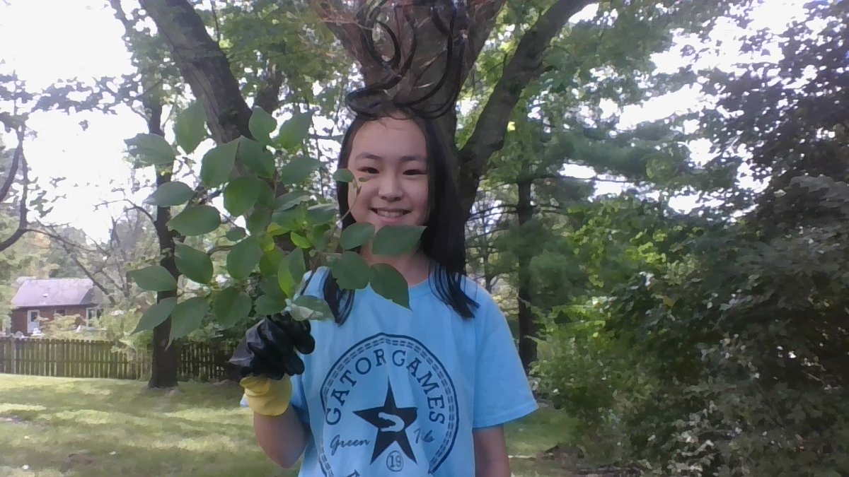parkwayssc's tweet photo. We want to highlight how Parkway students and staff have strived to make everyday Earth Day this year through the Sustainable Schools Challenge!

Students from all over the district created upcycled bird feeders, nature prints, and removed invasive Bush Honeysuckle! https://t.co/mgnBHxPcgC
