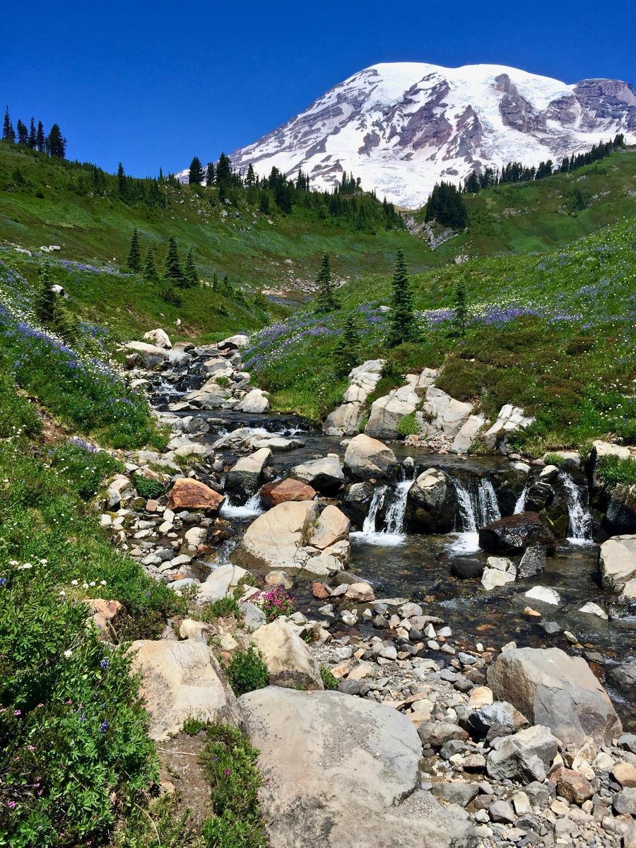 Хард рок группа кисс. R oc. R oc. Рок концерт. Рок картинки.