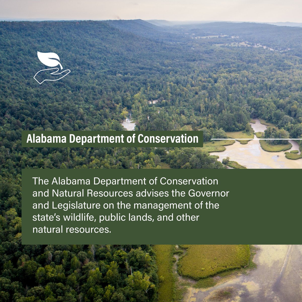 Governor Kay Ivey tweet media