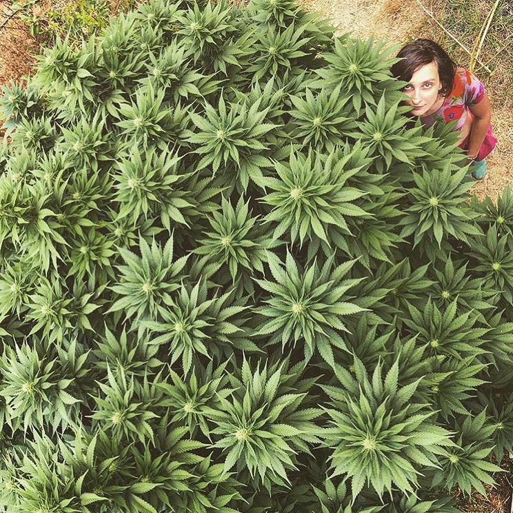 Moss_Crossing's tweet image. #HappyEarthDay 🌏 Today only: 20% OFF @luminousbot Earth Blend &amp;amp; 10% OFF seeds &amp;amp; clones

“An understanding of the natural world and what’s in it is a source of not only a great curiosity but great fulfillment.” — David Attenborough