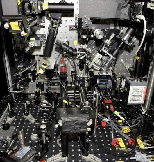 BppbSeminar's tweet photo. #BPPBSeminar Fri Apr 23 at 8 am PDT/11 am EDT/5 pm CDT
Transcription factor dynamics and nuclear organization... - Mustafa Mir @MustafaMir16 
Bacterial active nematics: how modeling can be really quantitative - Hugues Chaté
Details - https://t.co/M3vQcF7VI9 https://t.co/flNjrLyTRt