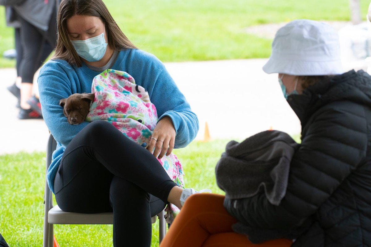 Thanks to everyone who came out today for the <a href="/UofLSAB/">UofL SAB</a> LoveLou 2021 fest!