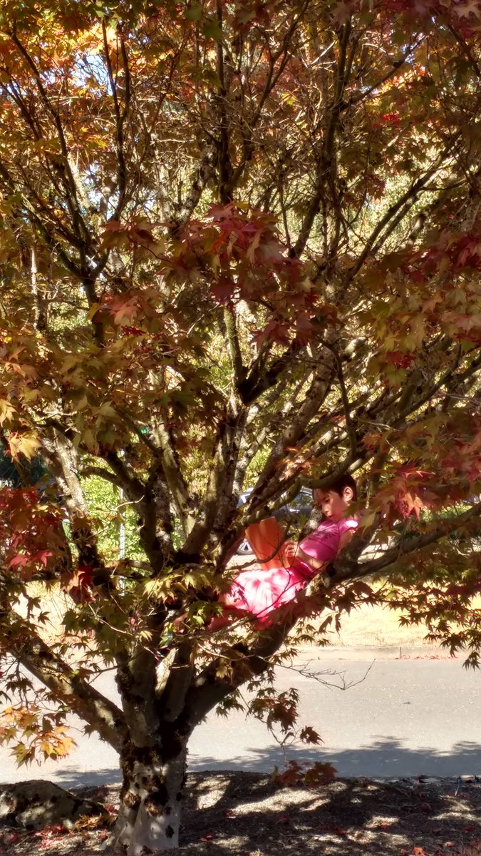 TREEINABOX's tweet photo. Happy #EarthDay Get out and enjoy a tree today! https://t.co/y02tThHNdM