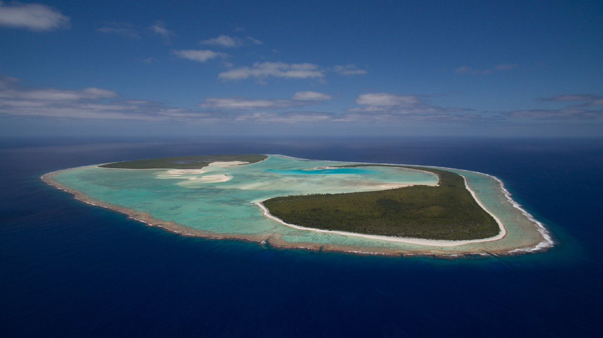 SharksPacific's tweet photo. Happy Earth Day!! Today we celebrate this big blue marble we call home and honor the diversity of habitats, plants, animals, and people that make this planet one of a kind.

And a big thanks to all of the orgs who work to improve our planet every day
#EveryDayIsEarthDay #EarthDay https://t.co/IwRcr0kLgL