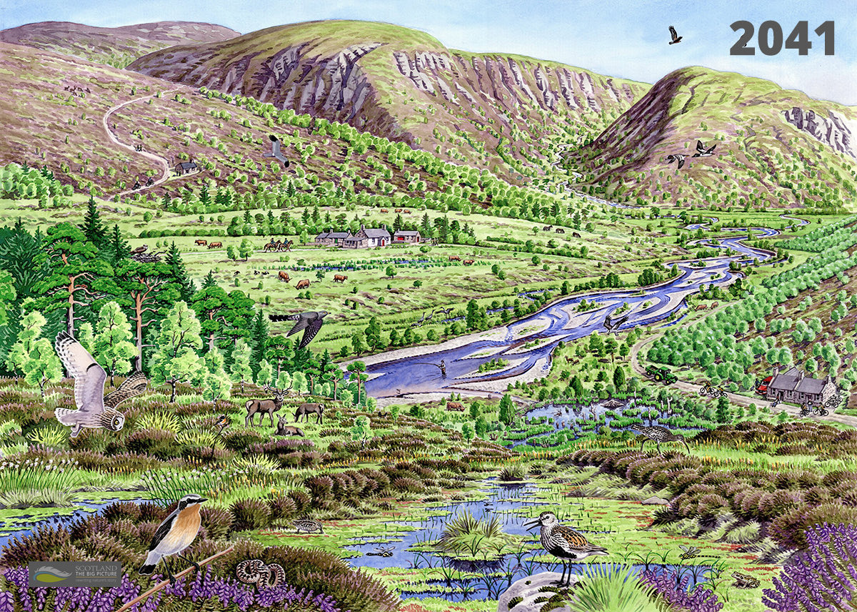 BenGoldsmith's tweet photo. 2021 the British uplands on the left, 2041 the British uplands on the right. The times they are changin’. Support ⁦@RewildingB⁩ @ScotlandTBP⁩ ⁦@RewildingEurope⁩ https://t.co/Y6fQXmDtLx
