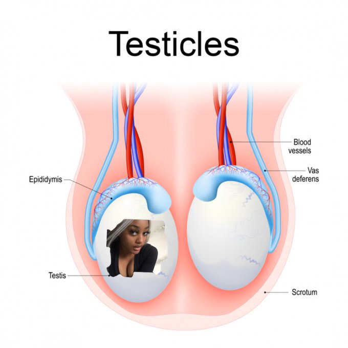 beep beep, is that my bestie in a testie?! https://t.co/flSOS0Q1cC