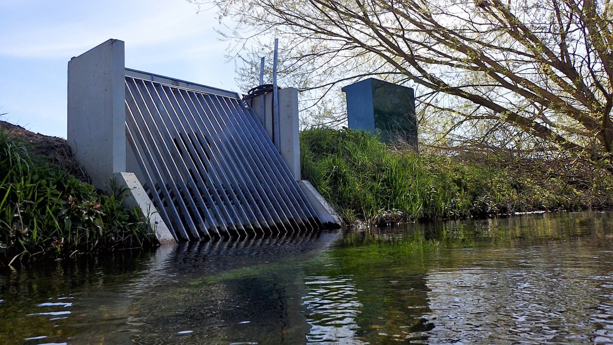 numenini's tweet image. Lovely crawl/swim in Lee Brook (8.2°C) with lots crowfoot &amp;amp; other water plants, though near this abstraction? structure grey algae instead.  
Found skulls of 2 horses, long dead, and 2 horse shoes. Rest of their bones scattered quite far downstream. #Chalkstreams #WestSuffolk 3/3
